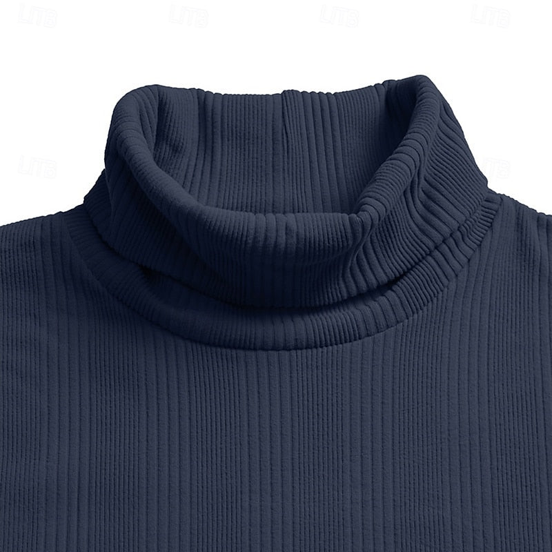 Gustav | Men's Slim Fit Turtleneck Sweater