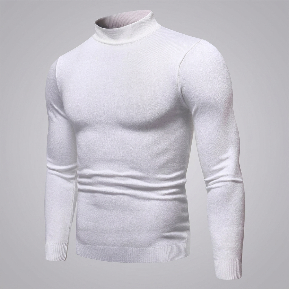 Harvey | Men's Fine Knit Turtleneck Sweater