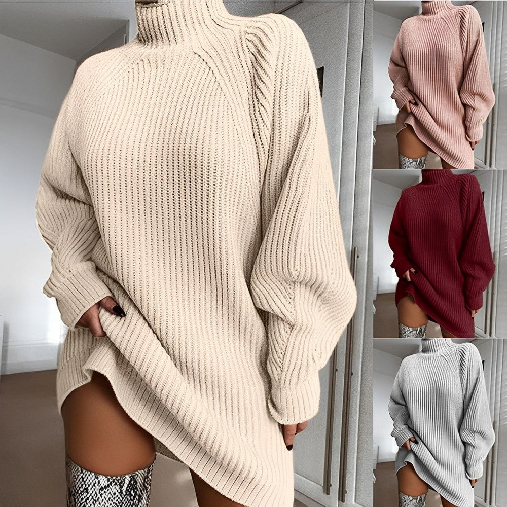 Quinn | Women's Turtleneck Sweater Dress Knitted