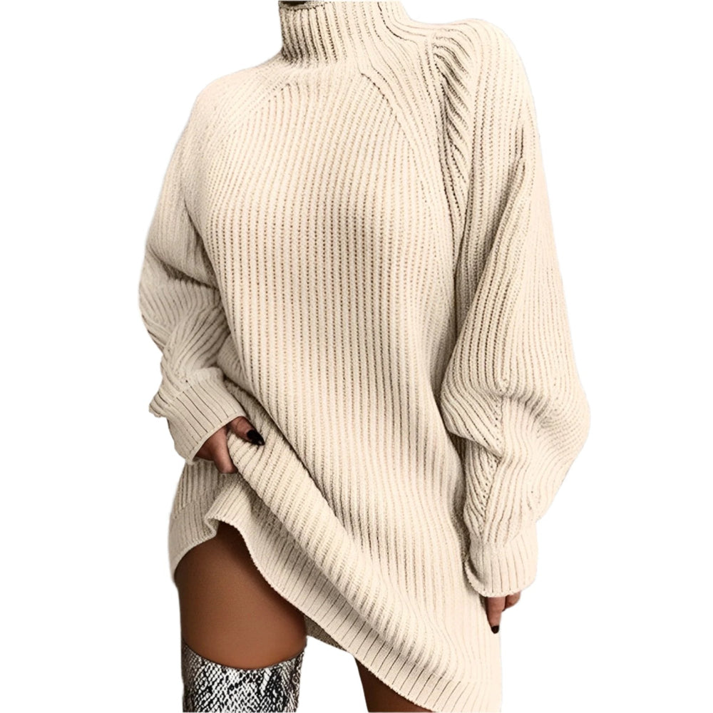 Quinn | Women's Turtleneck Sweater Dress Knitted