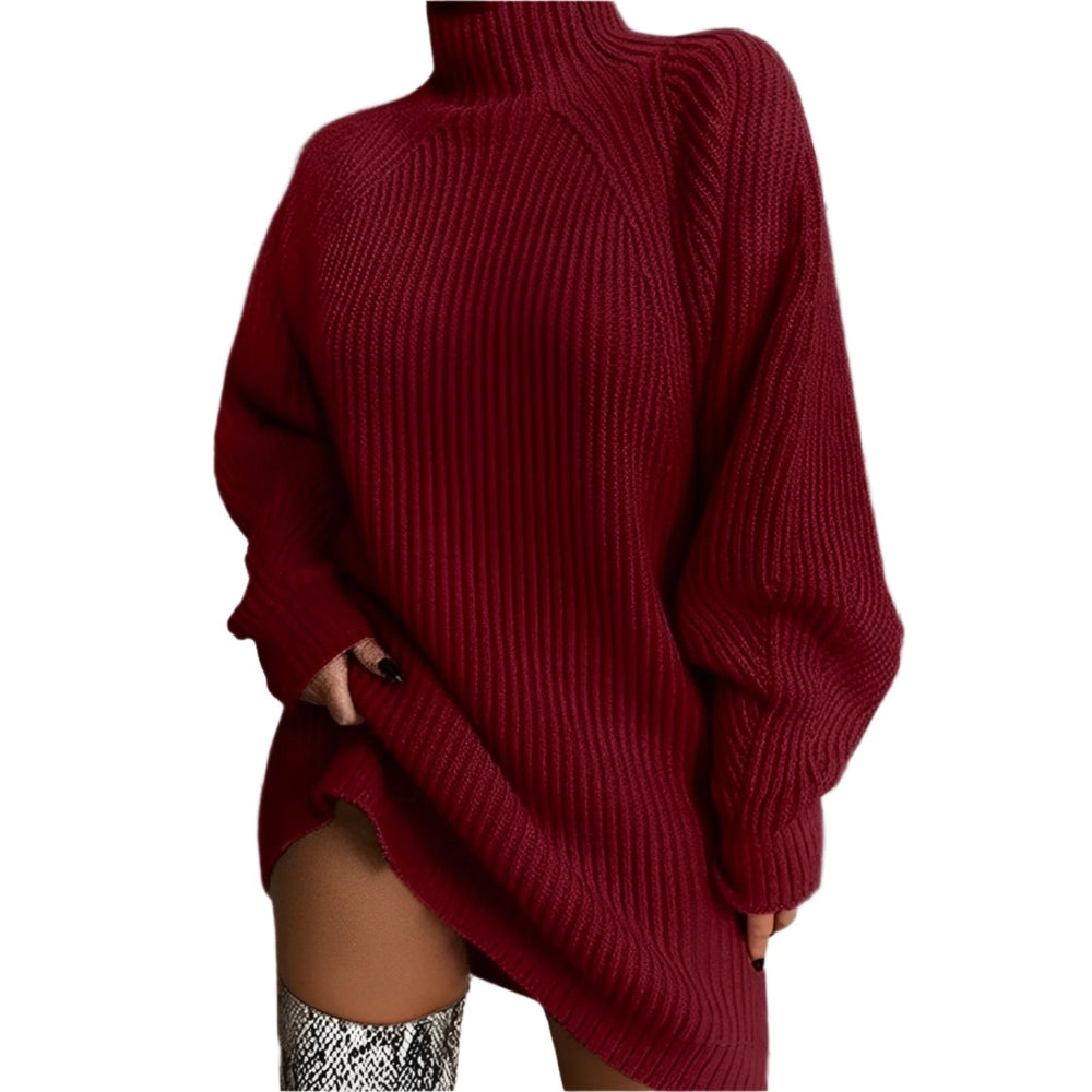 Quinn | Women's Turtleneck Sweater Dress Knitted